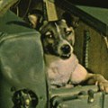 Belka i Strelka otvorili put čoveka u kosmos
