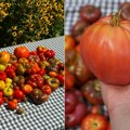 Kako da pripremite domaći kuvani paradajz – imamo proveren recept! Back to School Style vodič: Kako izabrati pravu odeću za…