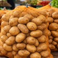 Sa 100 kvadrata dobije i do 2 tone krompira! Pametna bašta ruskog penzionera: Kako bez kopanja dostiže rekordne prinose povrća…