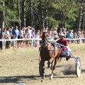 Bečejski konjički klub „Potisje“ u Nedeju obeležava vredan jubilej: Osam decenija postojanja
