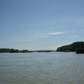 Sava umereno raste, u naredna četiri dana veći porast Dunava