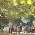 Decu prepodne ne izvoditi u šetnju i u parkove: Na ovim mestima najviše su izložena polenu, dva simptoma su ključna za…