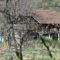 Zakazana rekonstrukcija događaja u okviru istrage ubistva Danke Ilić