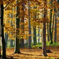 Letnji dan u Srbiji – najviša dnevna temperatura do 26 stepeni