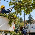Velika akcija orezivanja drveća sutra u Subotici – bez struje više ulica, rešavaće se i drugi problemi na mreži