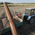 Bugarska prekinula dogovor o embargu: Uljarima fali ukrajinsko žito, pala odluka o ukidaju zabrane uvoza