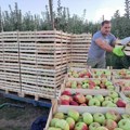 Radenko iz Latvice sa sinovima gaji voće na 15 hektara, ima 2 hladnjače i destileriju iz koje u Švajcarsku odlazi rakija…