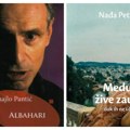 Portreti umetnika – David i Nađa: Predlozi za čitanje