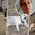 Kerušu Miju gazdarica ostavila samu na ulici posle rasističkog napada na dete! Pomozite, odnesite bar vodu