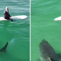 Ogromna ajkula prišla surferima u Kaliforniji: Dramatična scena snimljena dronom, ledi krv u žilama