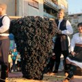 Lepe slike na ulicama Smedereva: Tradicionalnim defileom počela 136. Smederevska jesen (foto)