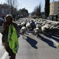 Francuski poljoprivrednici blokirali jedan od glavnih auto-puteva ka Parizu
