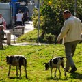 Promenljivo oblačno i malo svežije, popodne ponegde kratkotrajna kiša