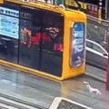 Izgubljeni pas godinama lutao ulicama, a onda je osetio poznat miris: Trčao je sve dok je nije ugledao u milionskom gradu…