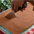 Italijani traže 100 ljudi za degustaciju čuvenog dezerta