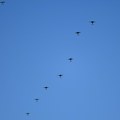 Ruski dron proveo 50 minuta u vazdušnom prostoru NATO-a: Rumunija nije reagovala