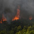 Vatrena oluja guta Grčku: Više od 100.000 hektara je pepeo, naređene nove evakuacije, kuće sravnjene