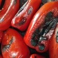 Kreće sezona ajvara: Paprika na leskovačkim pijacama već 150 dinara