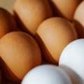 Bela ili smeđa, podna ili kavezna: Evo šta zaista znače oznake na jajima