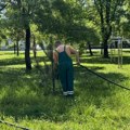 Čuvaju i održavaju zelenilo: Redovno zalivanje mladih sadnica u zrenjaninskom Karađorđevom parku