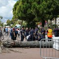 Povređen muškarac na Kanskom festivalu, na njega pala palma dok se šetao