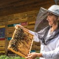 Андреја Станкович: Људе највише радује када виде колико волимо пчеле
