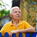 Jedno drvo može da uništi dobre komšijske odnose: Evo kako da rešite problem bez kazni i sudskih sporova