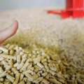 Ko se ove zime bude grejao na pelet, platiće 50 odsto više nego prošle godine: Koji će energent biti najjeftiniji za grejanje?…