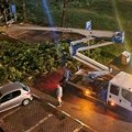 "Za dlaku smo izbegli da drvo padne na nas": Jezivi prizori na Novom Beogradu, u nesreći oštećeni automobili