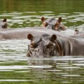 UN o biodiverzitetu: Da li je svet na prekretnici?