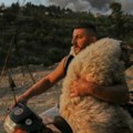 Fotografija koja je osvojila svet Heroj na motociklu spašava ovcu iz jezivog požara