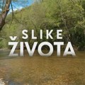 Slike života: Rzav leči, nedelja u 15.15