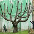 (ВИДЕО) Нови Бенксијев мурал у Лондону: Скривене поруке у зеленој боји