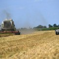 Da li će uvođenje carina na pšenicu nauditi Rusiji