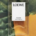 WASABI: Iznenađujući Loewe miris za kuću