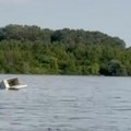 Šok snimak zabeležen kod Starih Banovaca: Zamrzivač sandučar "pliva" Dunavom! Ljudi su nemarni! (video)