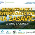 Pridružite se nekom od 30 izleta sa posmatranjem ptica širom Srbije!