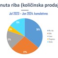 RetailZoom Retail Audit: Riba najprodavanija u Beogradu