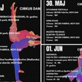 Festival savremenog cirkusa od 30. maja do 1. juna u SKCNS Fabrici i Limanskom parku
