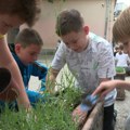 Mališani Ekološke sekcije pravi čuvari prirode