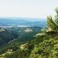 Rizik od požara u NP Tara: Nadležne službe pojačale nadzor i pripravnost