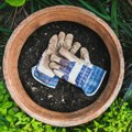 "Delez Srbija" povukla iz prodaje rukavice - uvećano prisustvo supstance toksične po reproduktivno zdravlje