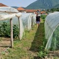 Prijepolje: Bespovratna podrška za najmanje 20 poljoprivrednika – plastenici za razvoj proizvodnje