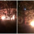 Požar pored gasnog postrojenja Drama u Veterniku, sve je dokumentovano