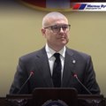 Vučević: Uradićemo sve što je do nas da zaštitimo naše nacionalne državne interese