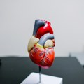 Poražavajući rezultati studije: Skoro čitava populacija SAD starija od 20 godina podložna srčanim obolenjima