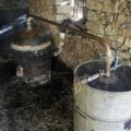 Šljivovica predmet naučnog istraživanja Filozofskog fakulteta