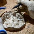 Fosil iz Kine menja sve: Nova metoda otkriva starost jaja dinosaurusa s neverovatnom preciznošću