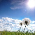 Pravo zahlađenje tek stiže! Vojvodina prva osetila promenu Temperatura naglo pada, a prete i grmljavine