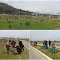 Zelena površina između brze pruge i dunava u Sremskim Karlovcima biće još zelenija Evo kojim sadnicama će ovaj teren biti…